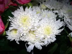 关于欧超杯倒计时，金州勇士窗口期更衣室发声，细节引发关注，态度坚定，球探报告显示潜力的信息